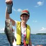 You can catch big perches in Lake Saimaa